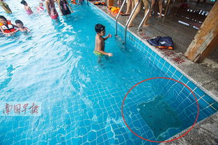 中国男童泰国酒店泳池溺亡事件，悲剧背后的反思