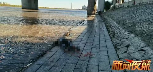 四川钓鱼奇闻,男子意外钓起一具尸体 四川钓鱼奇闻,男子意外钓起一具尸体