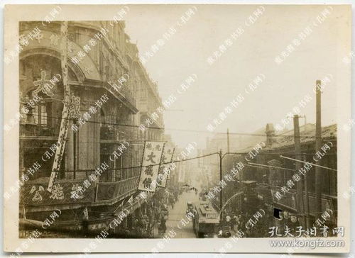 浙江七匹马出逃记,城市间的冒险之旅 浙江七匹马出逃记,城市间的冒险之旅