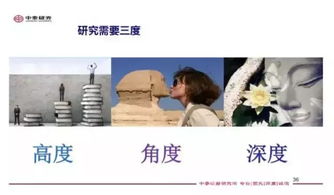 程序员三万相亲记，科技背后的情感探索