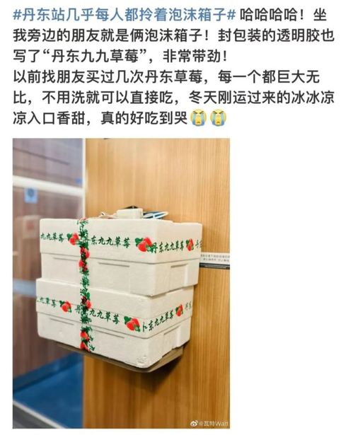 家电纸板箱竟是隐形财富的秘密 家电纸板箱竟是隐形财富的秘密