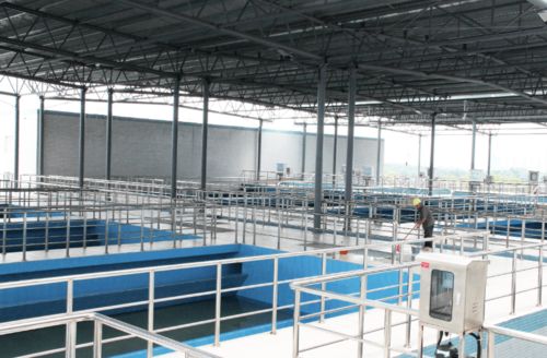 上海市民注意，提前准备，囤水囤粮，以应对可能的不便