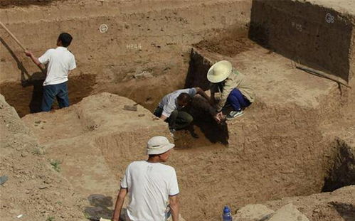 山西一村民下葬十个月后坟墓离奇失踪 山西一村民下葬十个月后坟墓离奇失踪