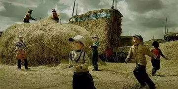 麦子奶奶的南行之旅,寻找之旅的圆满结局 麦子奶奶的南行之旅,寻找之旅的圆满结局