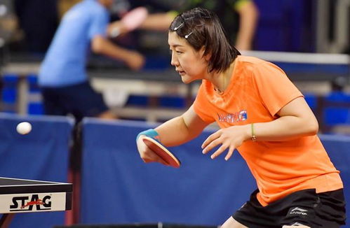 张继科开业球馆，独特体验，不对外营业