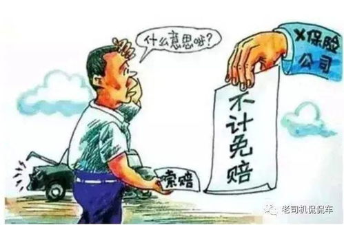 车险一般买哪几种就够了(车险买这四个险就够了)