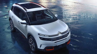 天逸c5目前的通病(天逸c5烧机油严重吗) 天逸c5目前的通病(天逸c5烧机油严重吗)