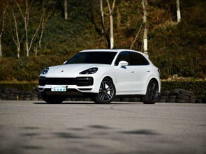 开卡宴一般什么档次人(三大伪豪车是哪三个)