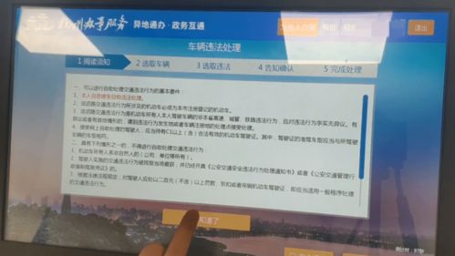 车辆违章自助查询系统(车辆违章查询服务)