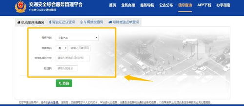 广东省车辆违章查询网(广东省汽车违章查询官网)