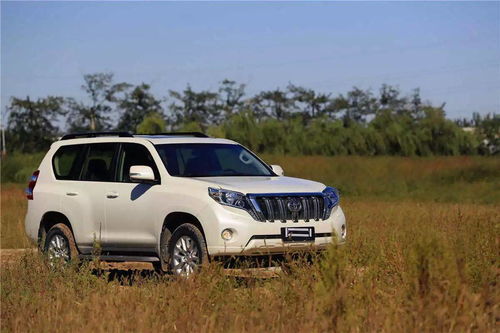 丰田车的全部车型图片(丰田车的全部车型图片及价格) 丰田车的全部车型图片(丰田车的全部车型图片及价格)