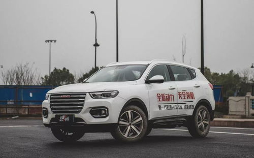 哈弗h6论坛(哈弗h6论坛车友会) 哈弗h6论坛(哈弗h6论坛车友会)