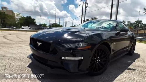 蛇标野马多少钱一辆(蛇标野马多少钱一台)