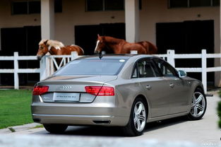 v12厉害还是w12厉害(v12和w12哪个更好) v12厉害还是w12厉害(v12和w12哪个更好)