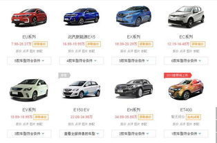 新能源汽车前十名品牌(国产新能源汽车前十名品牌)