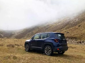 小型迷你吉普车(迷你小吉普汽车) 小型迷你吉普车(迷你小吉普汽车)