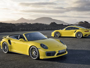 保时捷车图片(保时捷车图片大全 款式) 保时捷车图片(保时捷车图片大全 款式)