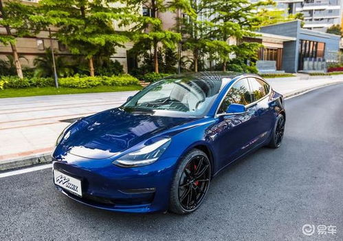 model3(model3 轮胎)