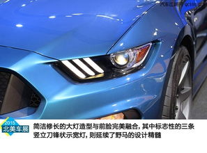 福特野马gt(福特野马gt350多少钱)