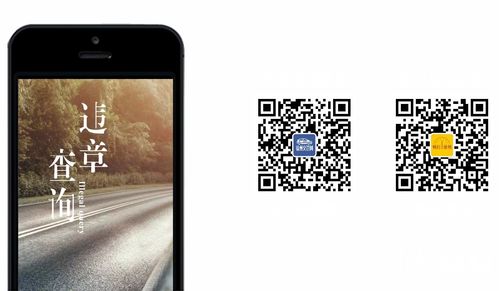 徐州交管网车辆违章查询(徐州交管网车辆违章查询官网入口)