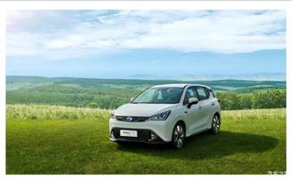 纯电新能源车排名前十名(目前最好的纯电动汽车) 纯电新能源车排名前十名(目前最好的纯电动汽车)