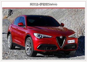 阿尔法罗密欧报价(阿尔法罗密欧报价多少) 阿尔法罗密欧报价(阿尔法罗密欧报价多少)