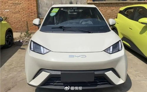 五菱缤果vs海鸥哪个好(海鸥) 五菱缤果vs海鸥哪个好(海鸥)