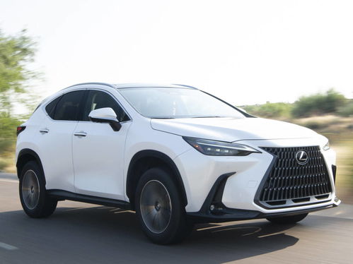 雷克萨斯nx200怎么样(雷克萨斯nx260参数配置)