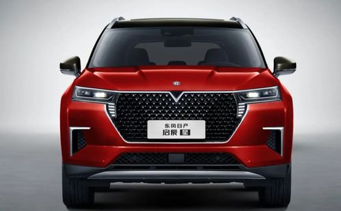 买启辰大v的十大忠告(东风日产启辰大v混动版价格)