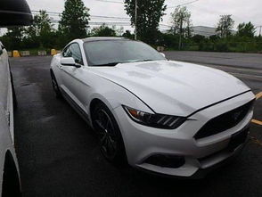 野马汽车价格(野马汽车价格多少钱一辆)