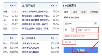 车牌号查询违章记录(如何输入车牌号查违章)
