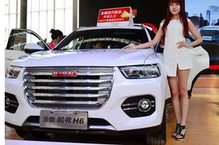 全新哈弗h62017新款(全新款哈弗h62017款)