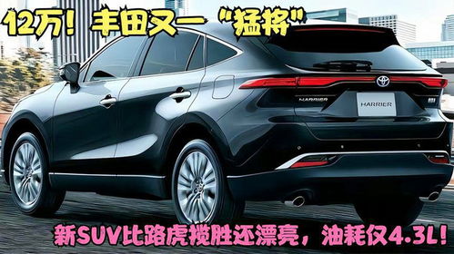新款丰田suv12万左右(12万元的丰田suv) 新款丰田suv12万左右(12万元的丰田suv)