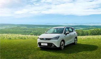 广汽传祺纯电动汽车(广汽传祺纯电动汽车图片)