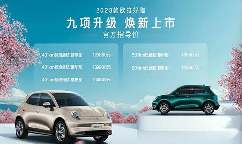 车价格大全查询2023(车价格大全查询2023图片)