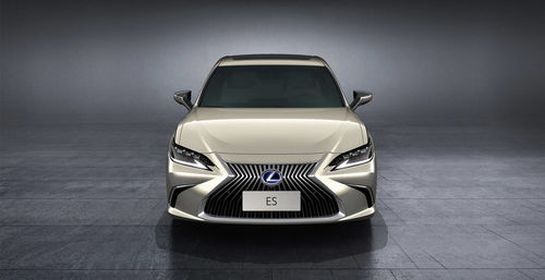 es200全款落地多少钱(es260落地价多少)