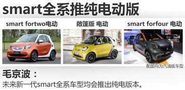 奔驰smart纯电动汽车价格(奔驰smart纯电动汽车价格二手)