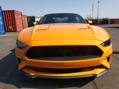 福特野马图片(福特野马图片大全)