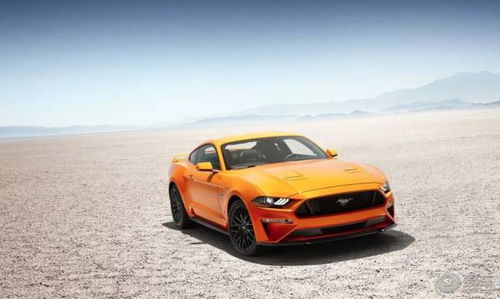 野马跑车报价2023(野马跑车报价2023款图片大全及价格橘红色) 野马跑车报价2023(野马跑车报价2023款图片大全及价格橘红色)