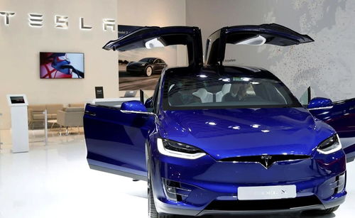 特斯拉汽车图片(特斯拉汽车图片大全大图及价格)