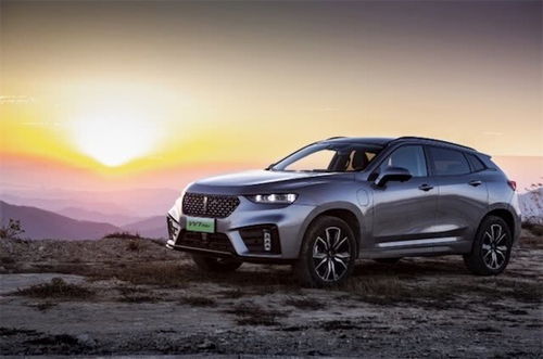 长城汽车(长城汽车6座) 长城汽车(长城汽车6座)