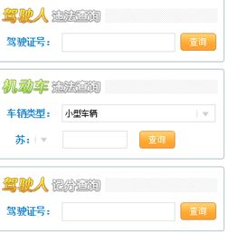 违章查询在线查询官网(违章查询在线查询官网入口)