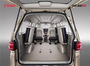 东风风行菱智7座纯电动汽车(东风风行菱智mpv七座)