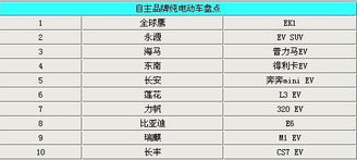 电动汽车品牌(电动汽车品牌大全一览表)