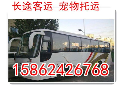 查长途汽车票查询(长途汽车票查询12306) 查长途汽车票查询(长途汽车票查询12306)