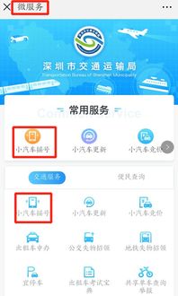 深圳小汽车摇号查询(深圳小汽车摇号查询官网查询系统)