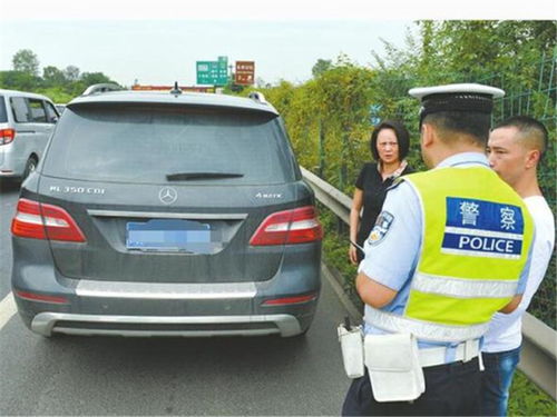 114查车牌号查车主电话(114查车牌号查车主电话查不到咋办) 114查车牌号查车主电话(114查车牌号查车主电话查不到咋办)