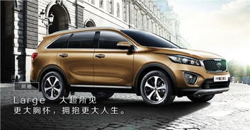 起亚汽车官网(起亚汽车官网首页)