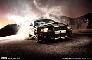 眼镜蛇跑车gt500报价(2020款眼镜蛇跑车gt500平行进口)