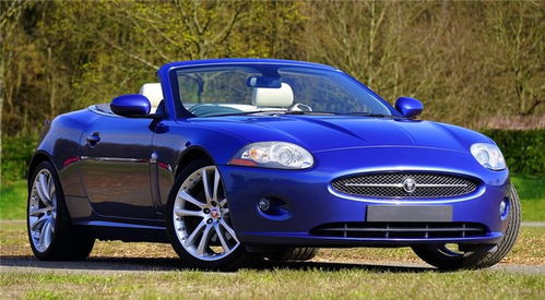 汽车网平台(汽车网平台老是打电话) 汽车网平台(汽车网平台老是打电话)